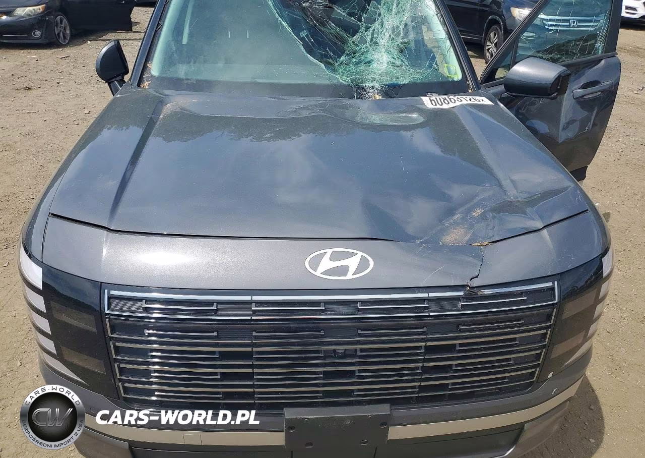 2026 Hyundai Palisade Sel Premium VIN:KM8RHESAXTU060122 - 12