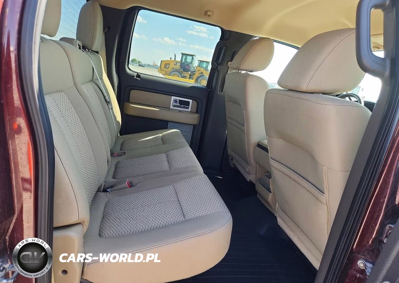 2010 Ford F150 Supercrew VIN:1FTEW1E82AFD79140 - 11