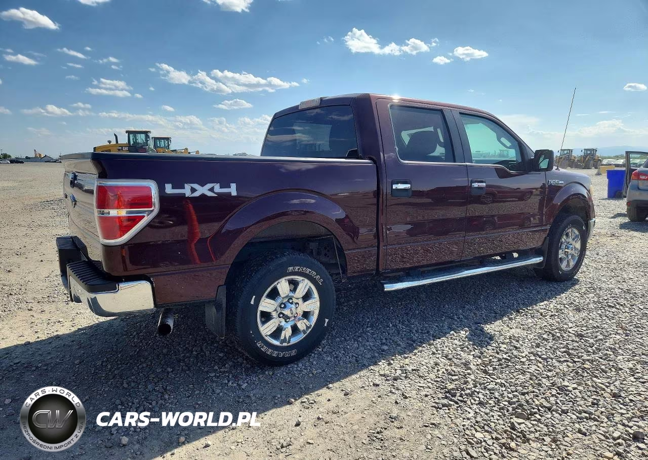 2010 Ford F150 Supercrew VIN:1FTEW1E82AFD79140 - 3