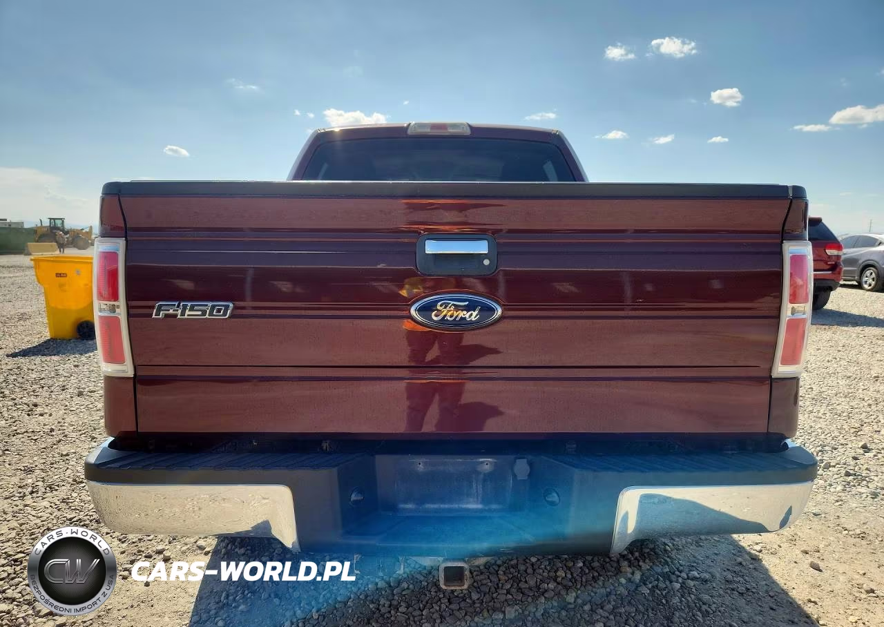 2010 Ford F150 Supercrew VIN:1FTEW1E82AFD79140 - 6
