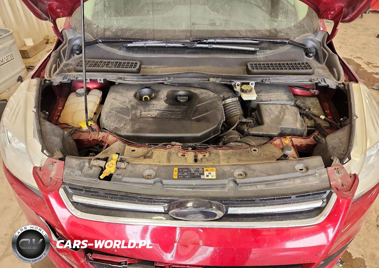 2013 Ford Escape Sel VIN:1FMCU9H98DUD44842 - 12