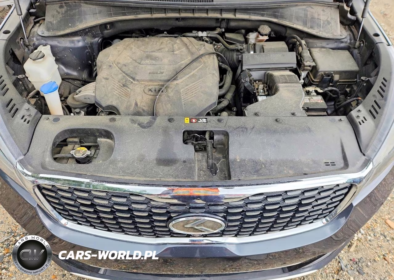 2019 Kia Carnival Lx Fwd VIN:5XYPK4A56KG479399 - 11