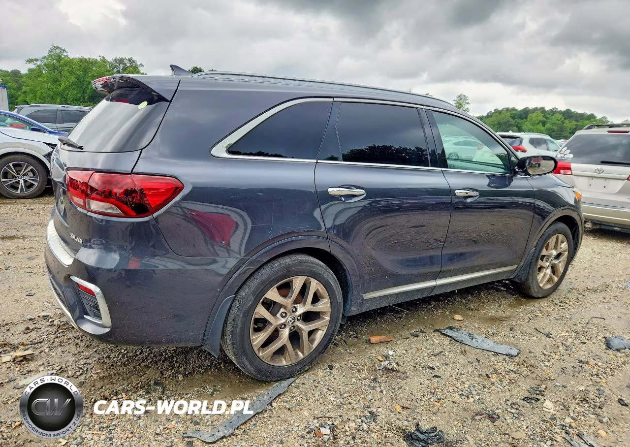 2019 Kia Carnival Lx Fwd VIN:5XYPK4A56KG479399 - 3