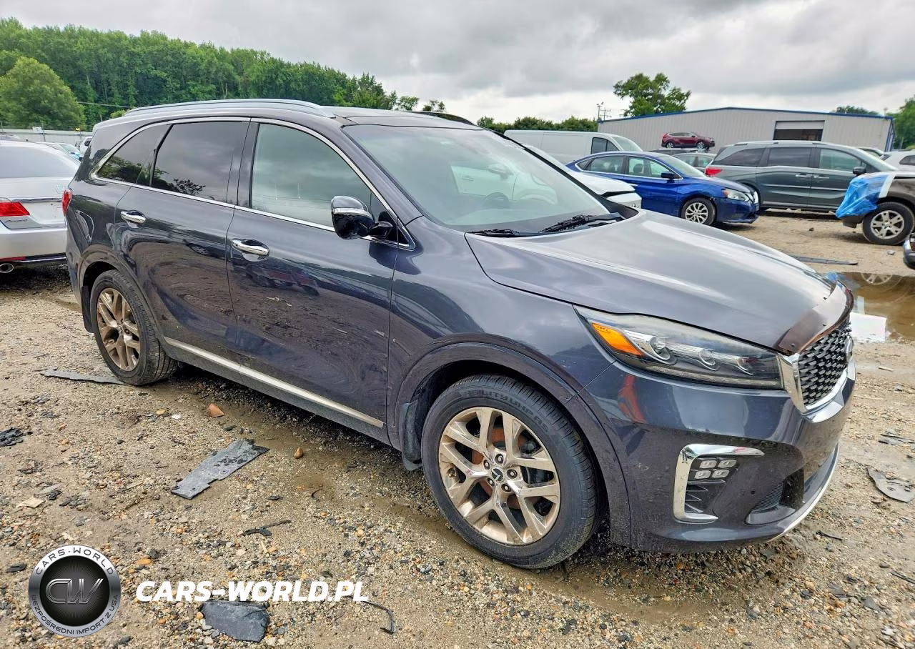 2019 Kia Carnival Lx Fwd VIN:5XYPK4A56KG479399 - 4