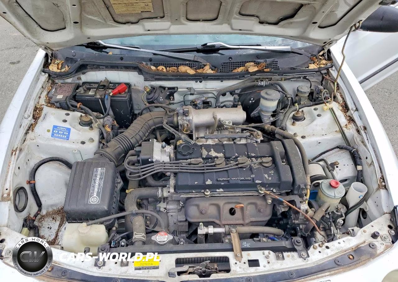 1995 Acura Integra Rs VIN:JH4DC4346SS037445 - 11