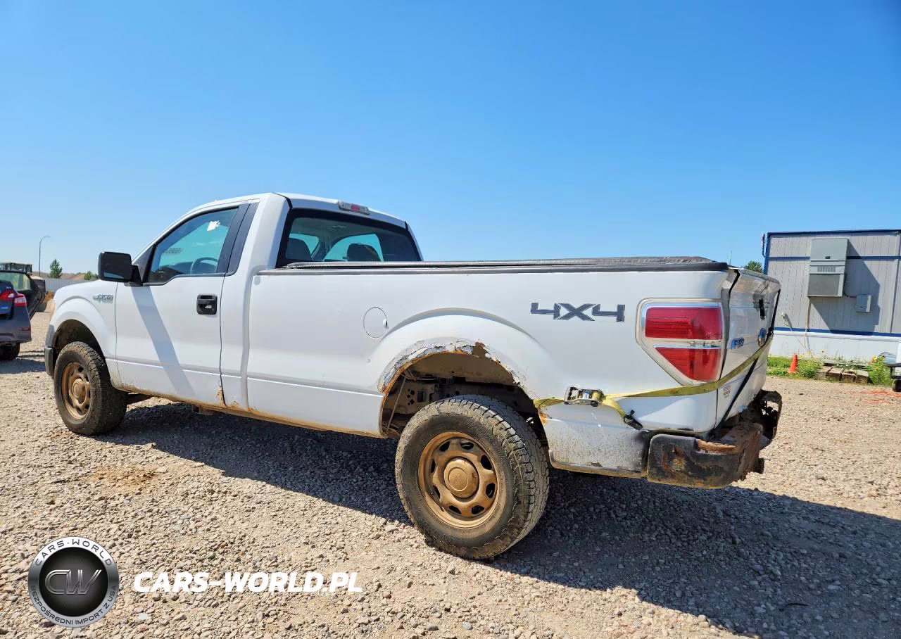 2010 Ford F150 VIN:1FTMF1EW4AKA89936 - 2