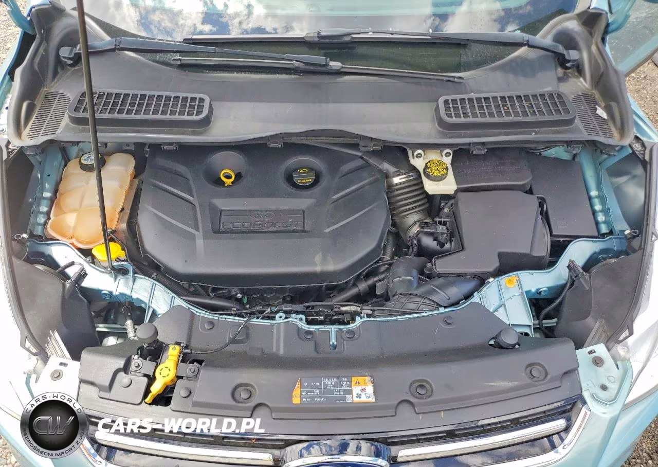 2013 Ford Escape Sel VIN:1FMCU9H98DUD39950 - 12