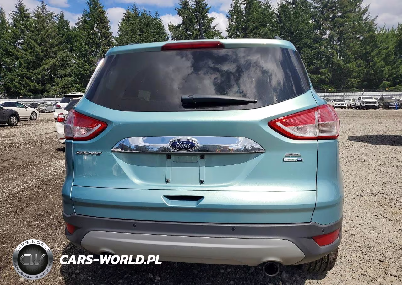 2013 Ford Escape Sel VIN:1FMCU9H98DUD39950 - 6
