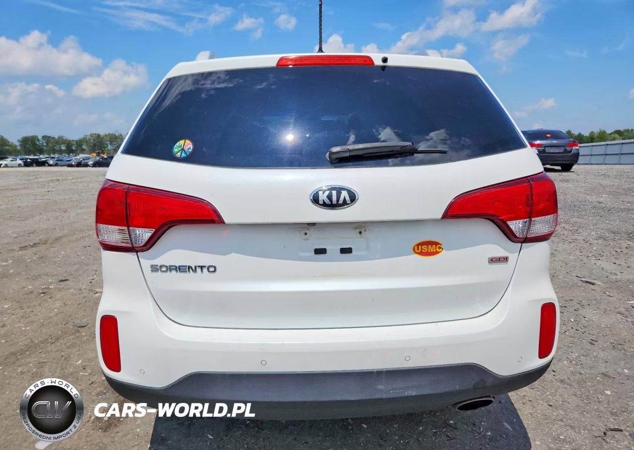 2014 Kia Sorento Lx VIN:5XYKTDA71EG544432 - 6