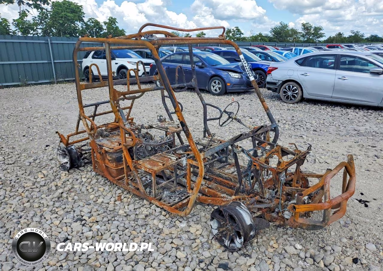 2020 Utility Vehicle – zdjęcie 1 z 10