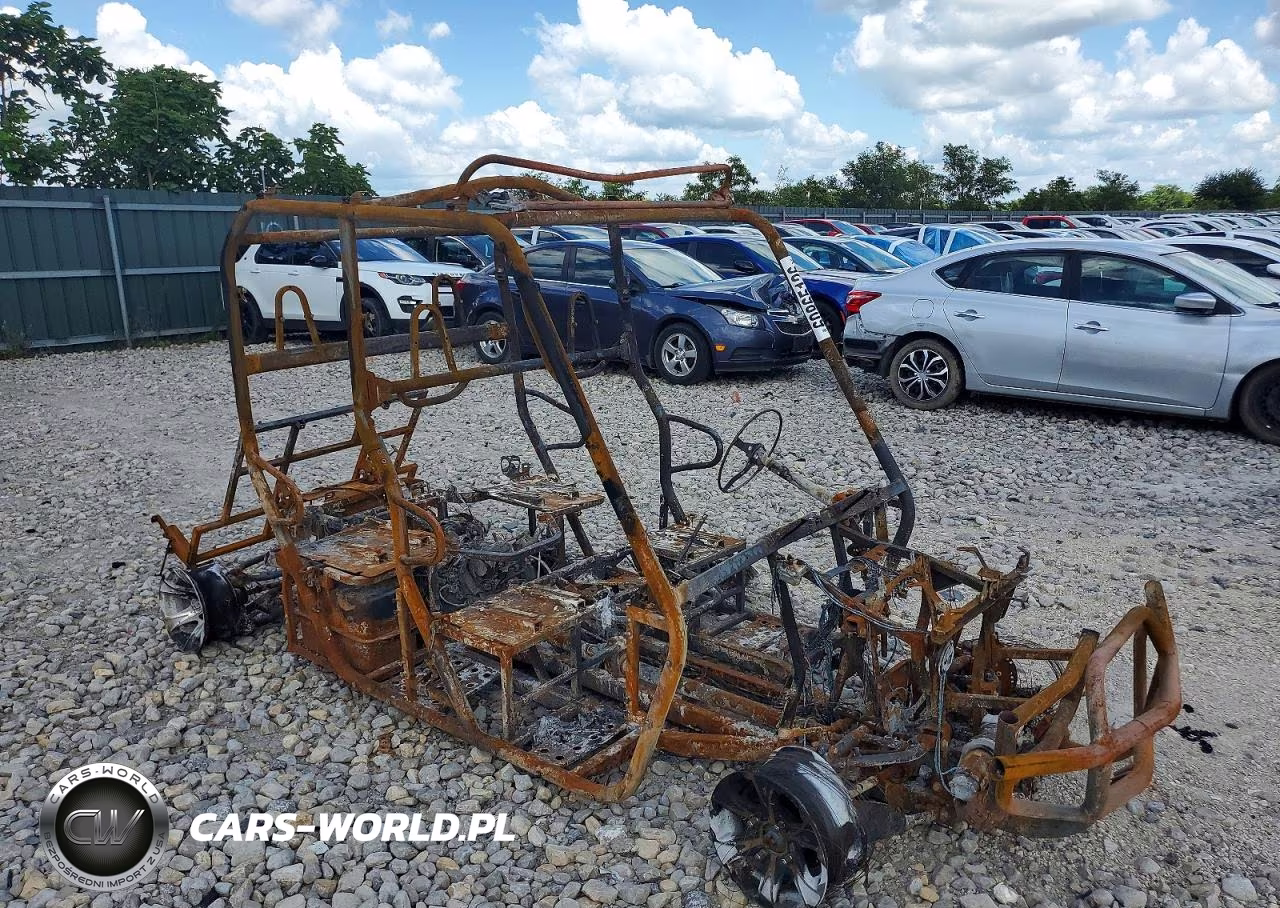 2020 Utility Vehicle VIN:8MUF6MUCL5000006 - 9