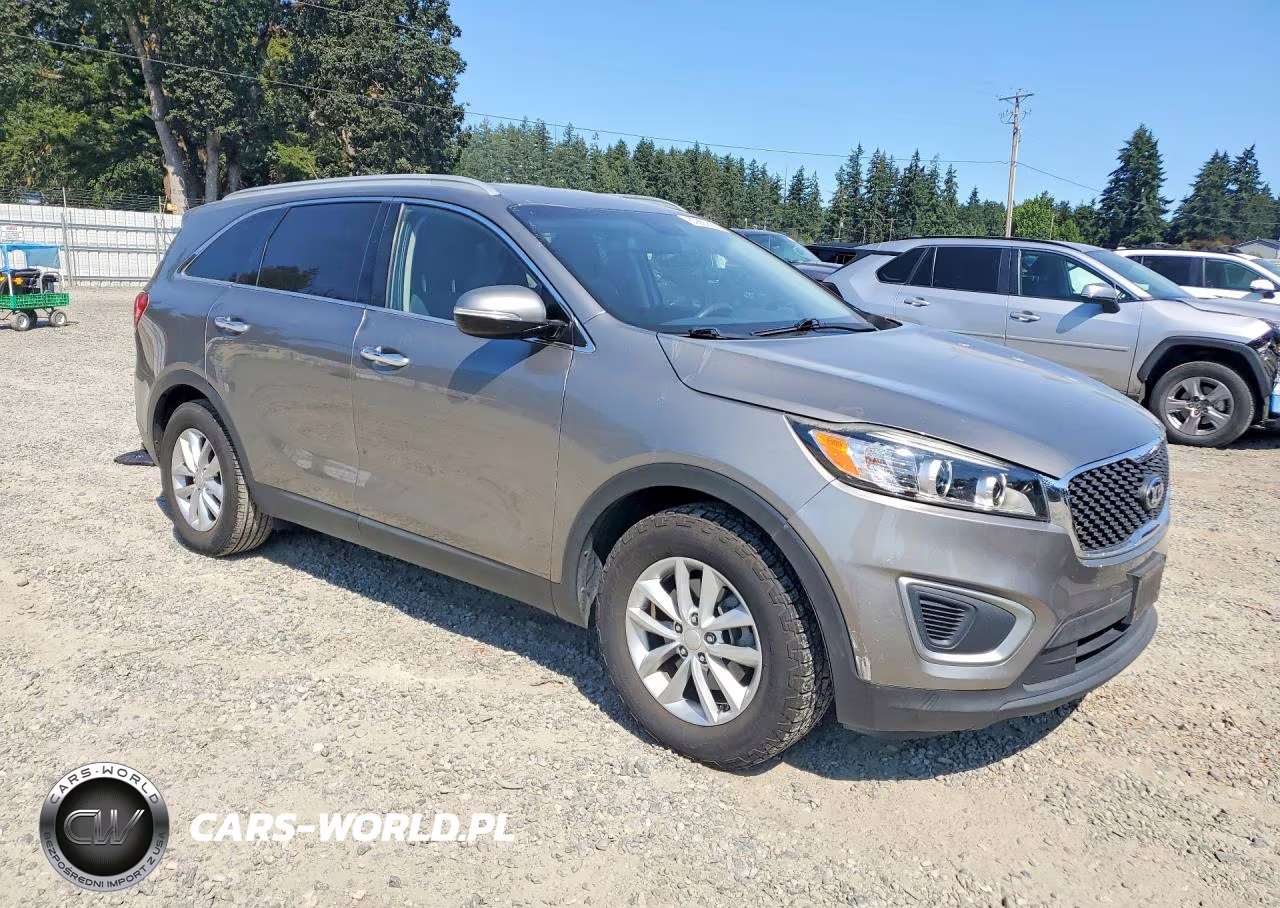 2017 Kia Sorento Lx V6 VIN:5XYPG4A51HG220393 - 4