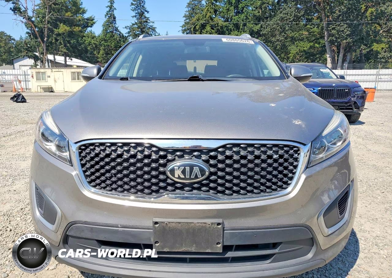 2017 Kia Sorento Lx V6 VIN:5XYPG4A51HG220393 - 5