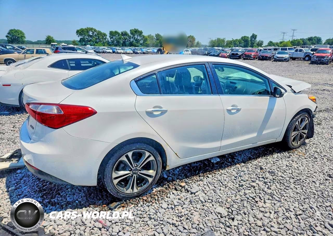 2014 Kia Forte Ex VIN:KNAFZ4A89E5050723 - 3