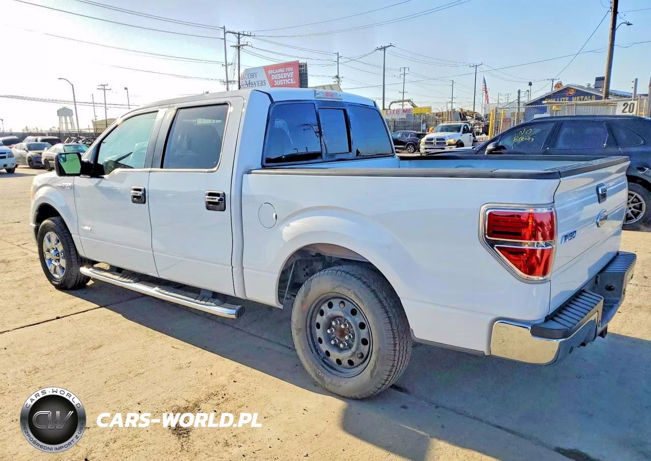 2011 Ford F-150 Xlt VIN:1FTFW1CT9BFB44828 - 2