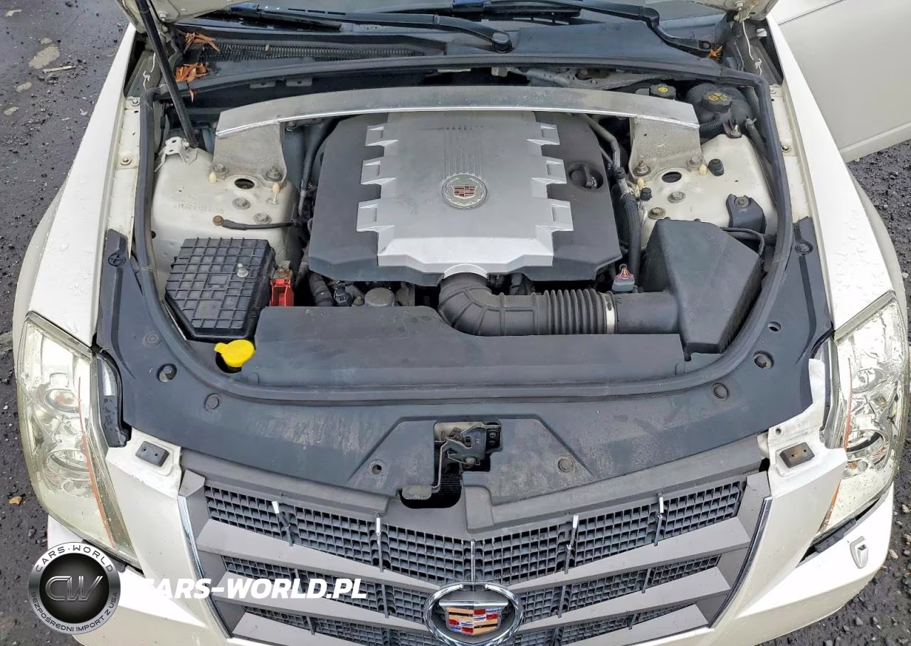 CADILLAC CTS VIN:1G6DF5EY7B0143349 - 11