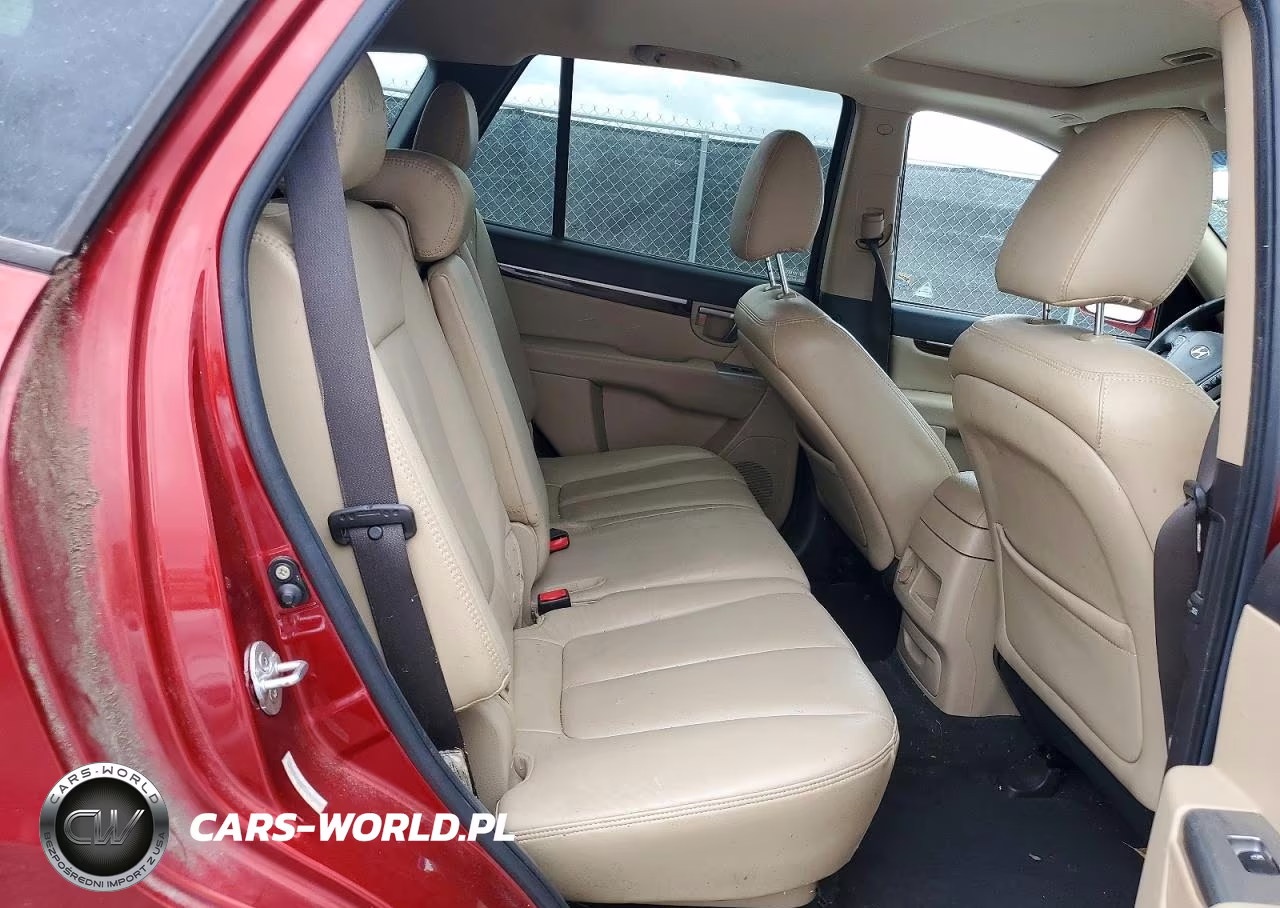2010 Hyundai Santa Fe Limited VIN:5NMSK4AG7AH387928 - 10