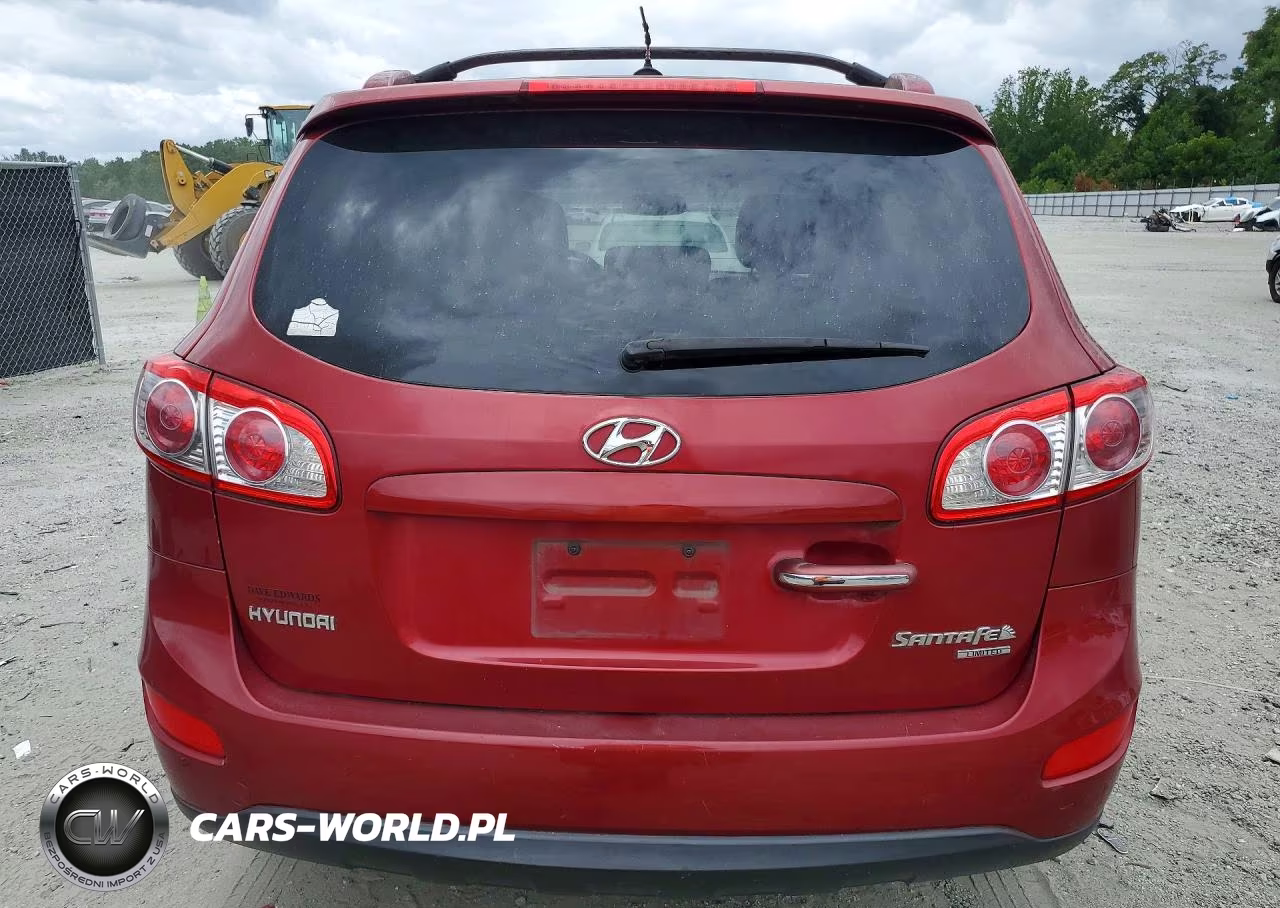 2010 Hyundai Santa Fe Limited VIN:5NMSK4AG7AH387928 - 6