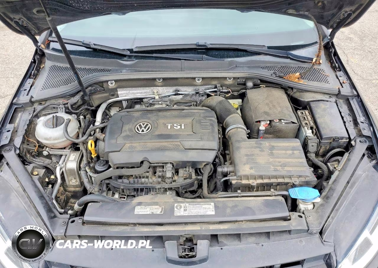 2016 Volkswagen Golf S-Se VIN:3VW217AU8GM042078 - 11