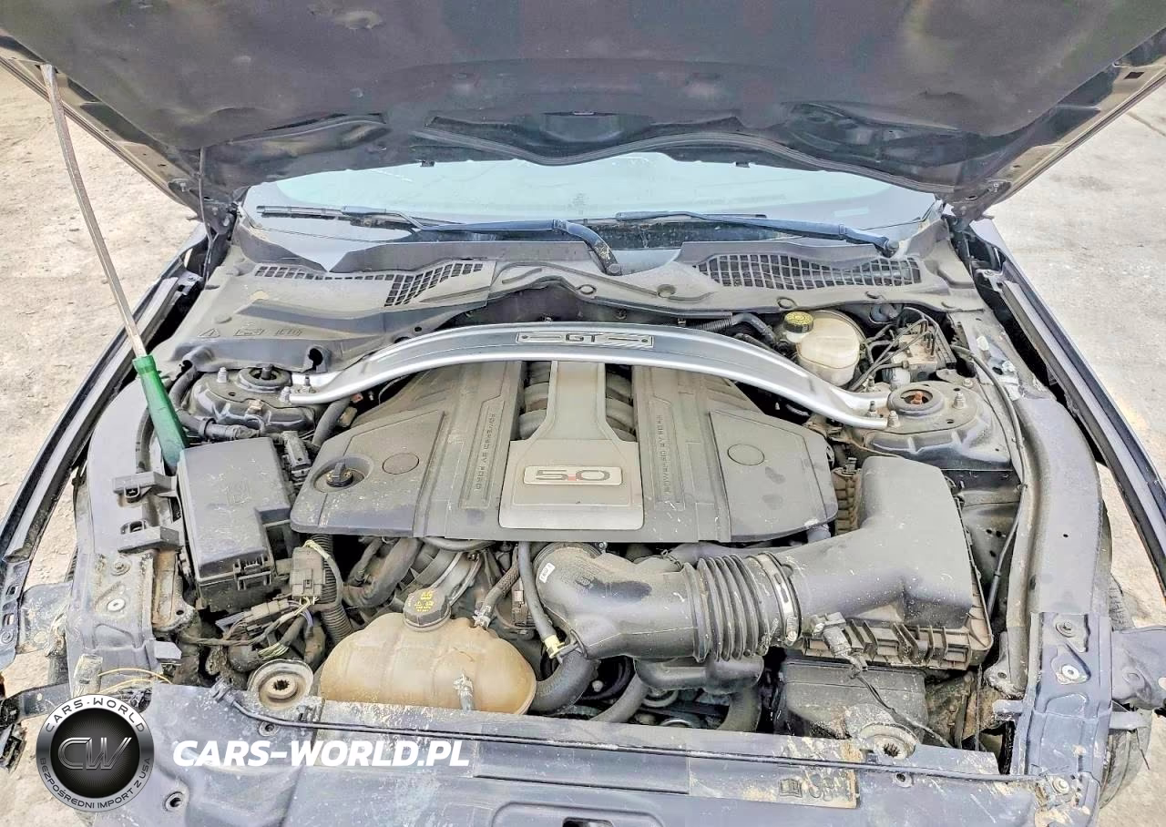 2020 Ford Mustang Gt VIN:1FA6P8CF2L5127172 - 11