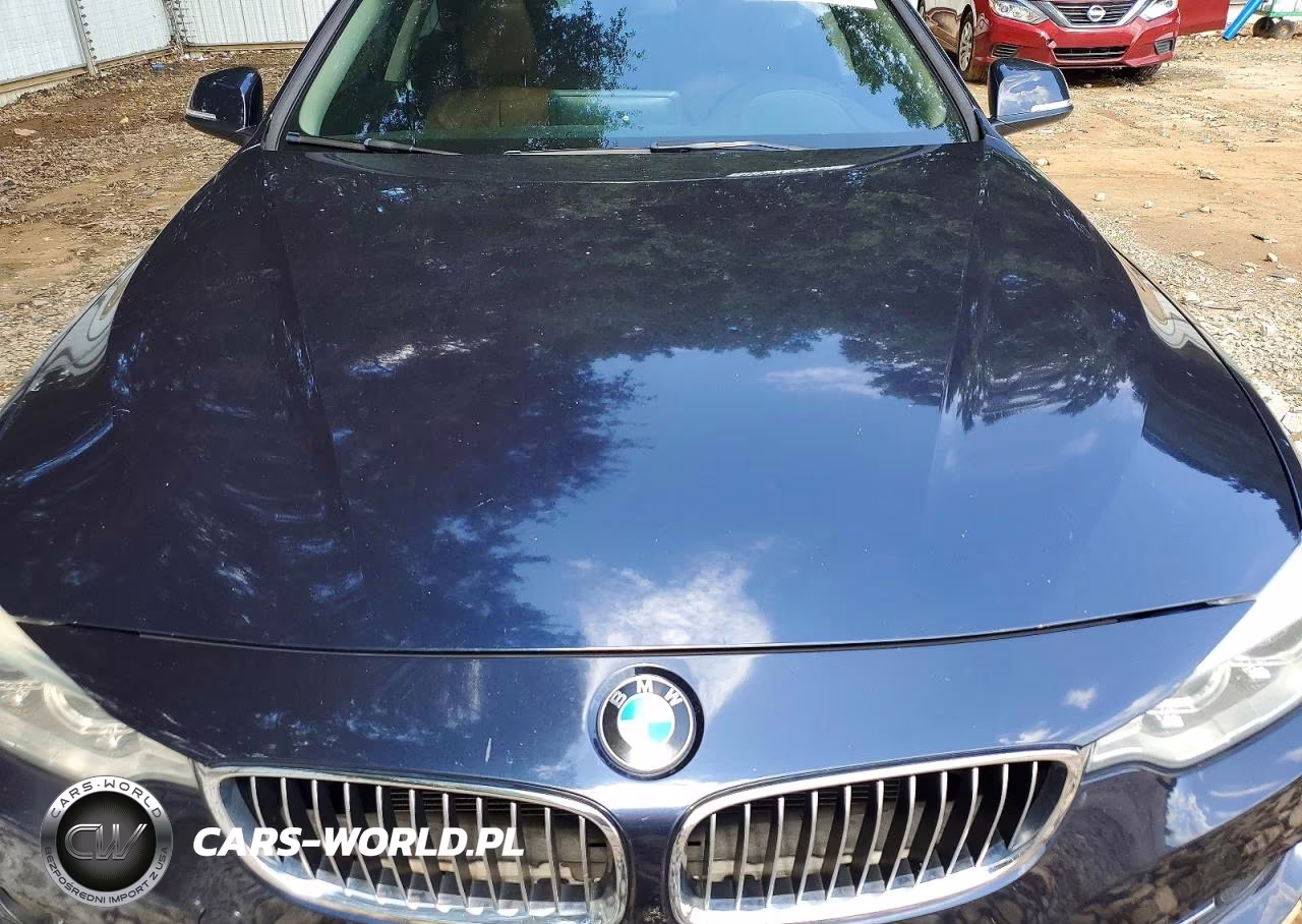 2014 BMW 428 I VIN:WBA3N3C56EK231727 - 11