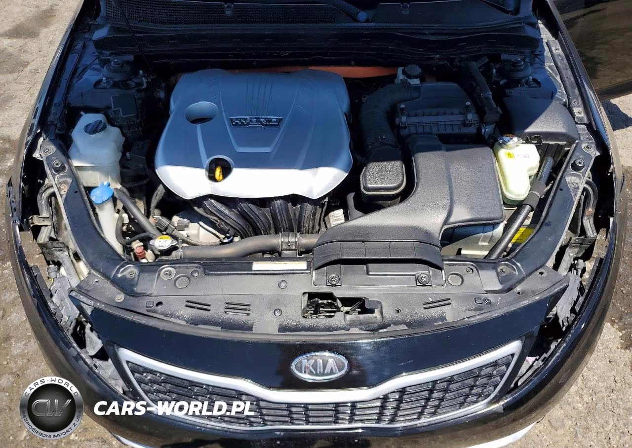 2012 Kia Optima Hybrid VIN:KNAGM4AD5C5018669 - 11