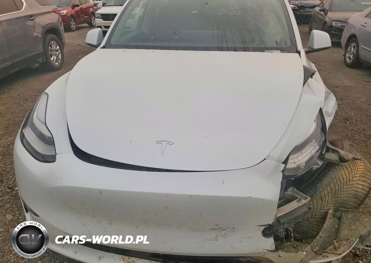 2021 Tesla Model Y VIN:5YJYGDEE3MF109201 - 11