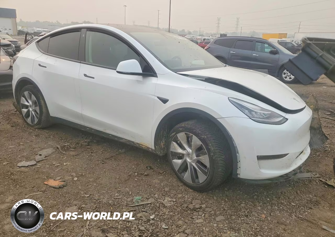 2021 Tesla Model Y VIN:5YJYGDEE3MF109201 - 4