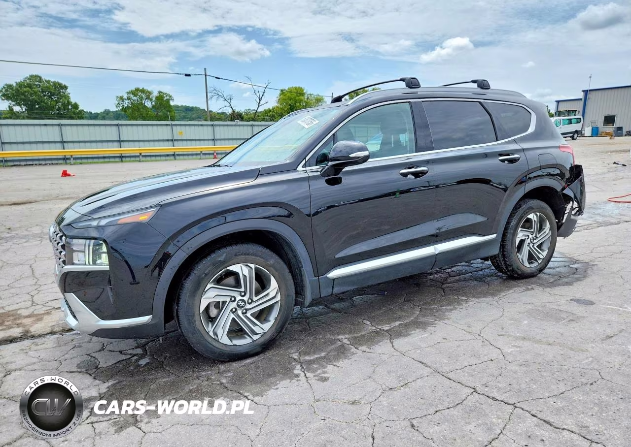2023 Hyundai Santa Fe Sel Premium VIN:5NMS34AJ5PH630587 - 1