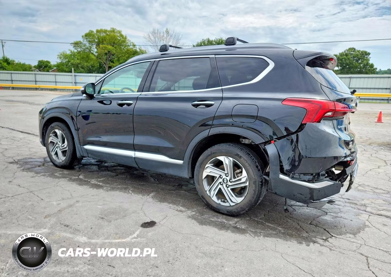 2023 Hyundai Santa Fe Sel Premium VIN:5NMS34AJ5PH630587 - 2
