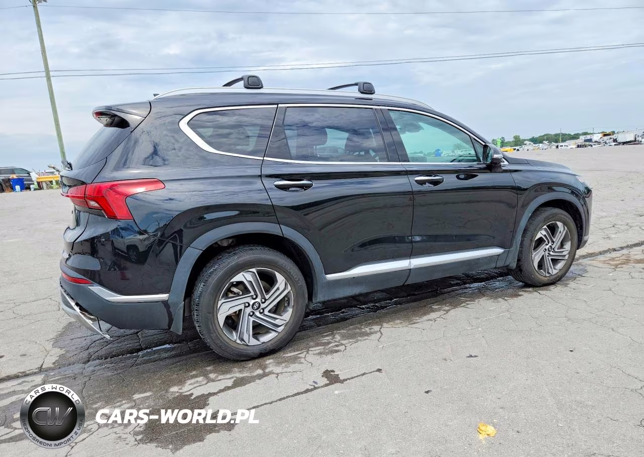 2023 Hyundai Santa Fe Sel Premium VIN:5NMS34AJ5PH630587 - 3