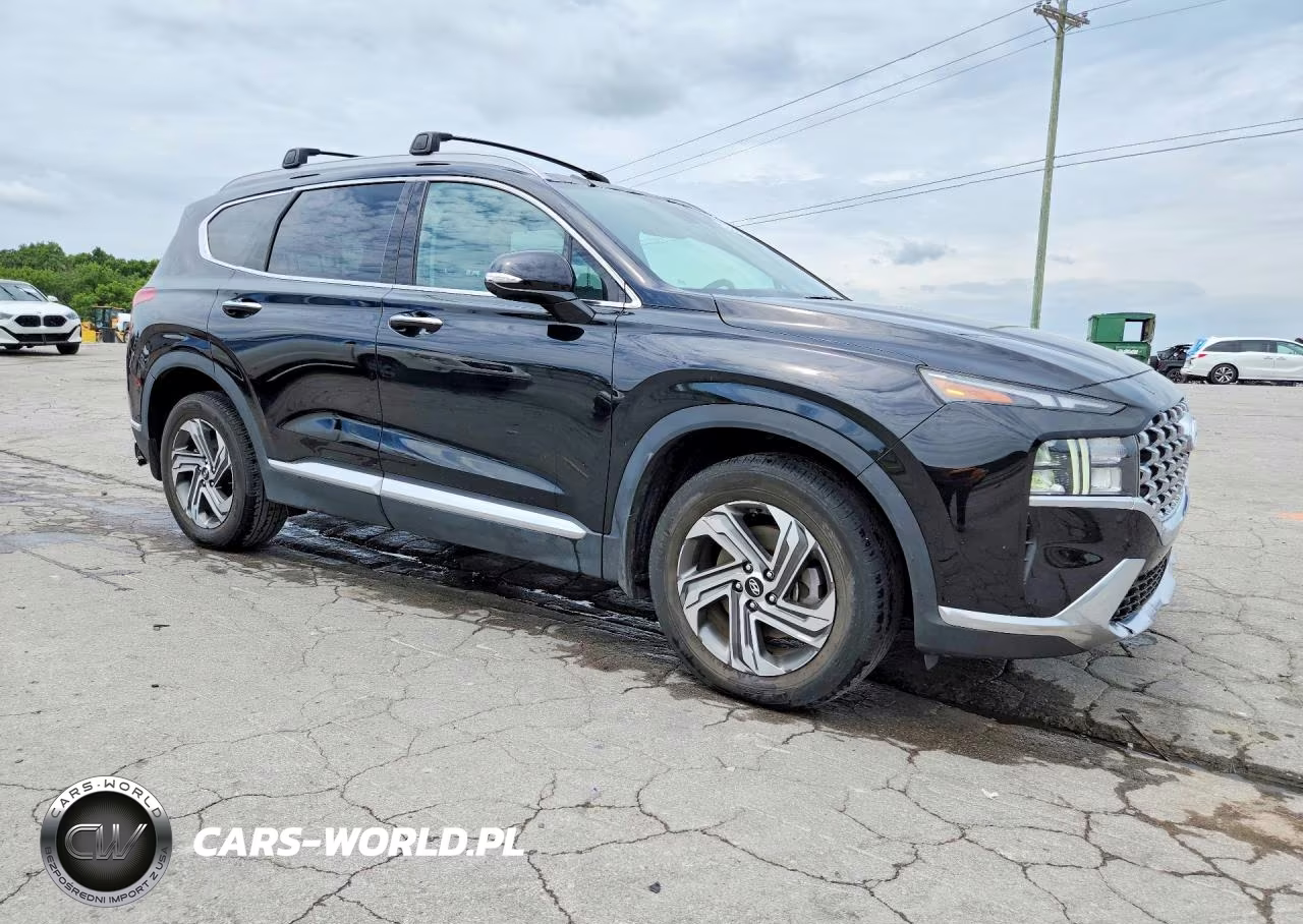 2023 Hyundai Santa Fe Sel Premium VIN:5NMS34AJ5PH630587 - 4