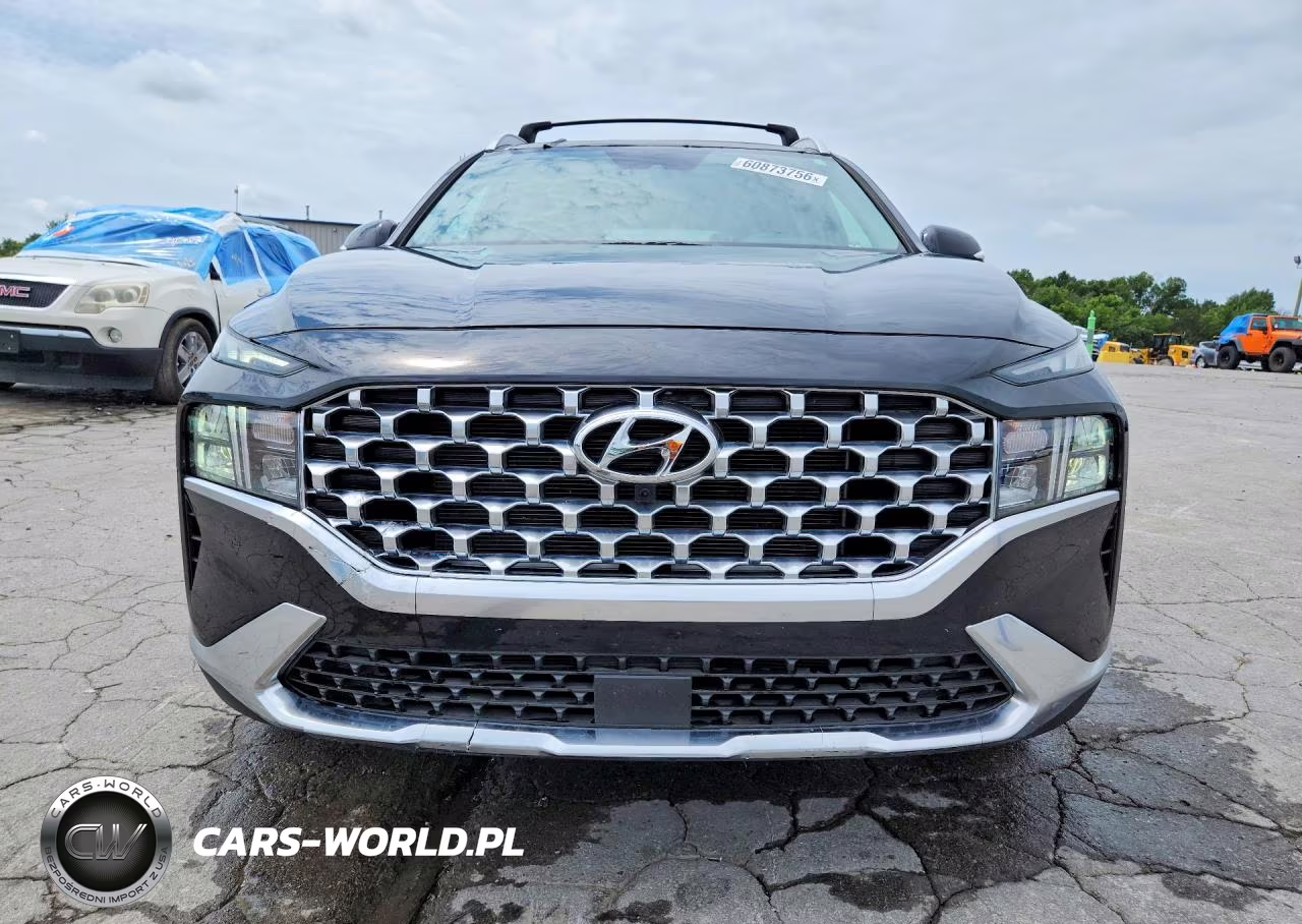 2023 Hyundai Santa Fe Sel Premium VIN:5NMS34AJ5PH630587 - 5