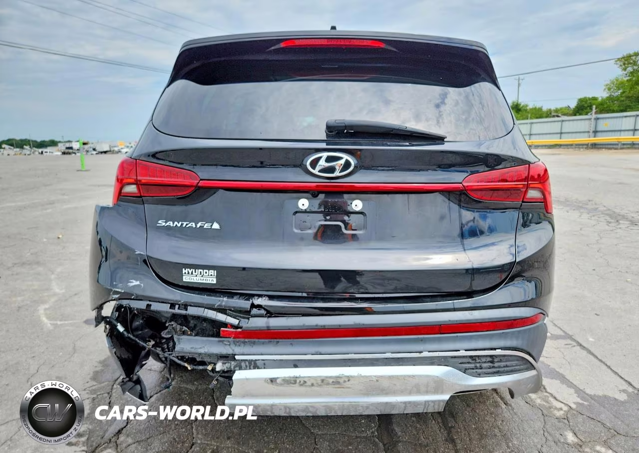 2023 Hyundai Santa Fe Sel Premium VIN:5NMS34AJ5PH630587 - 6