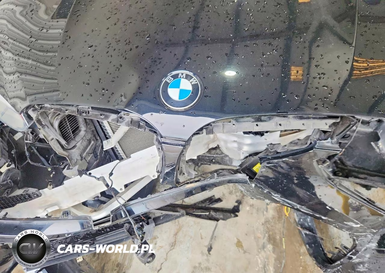 2019 BMW X3 Sdrive30I VIN:5UXTR7C57KLA48441 - 12