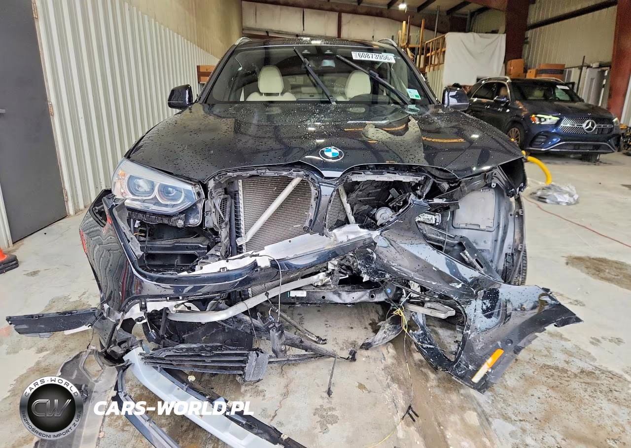2019 BMW X3 Sdrive30I VIN:5UXTR7C57KLA48441 - 5