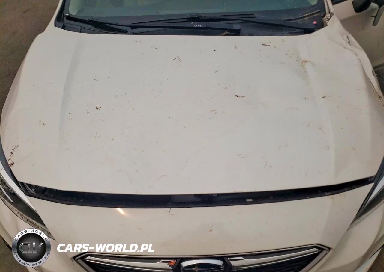 2019 Subaru Impreza Premium VIN:4S3GTAD66K3715862 - 11