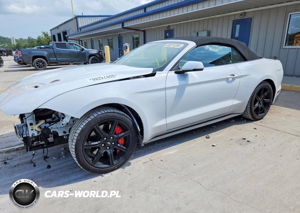 2019 Ford Mustang Gt VIN:1FATP8FF6K5185721 - 1
