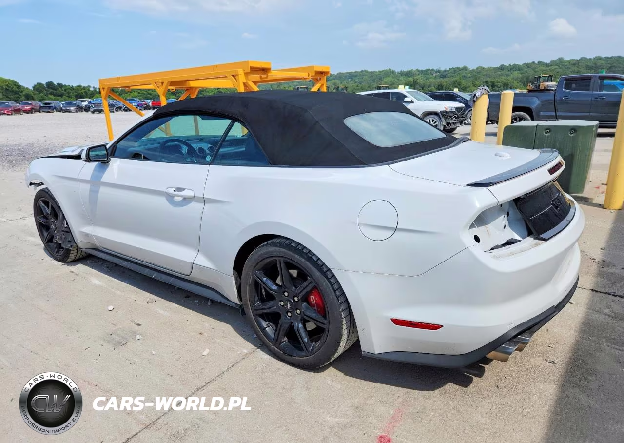 2019 Ford Mustang Gt VIN:1FATP8FF6K5185721 - 2