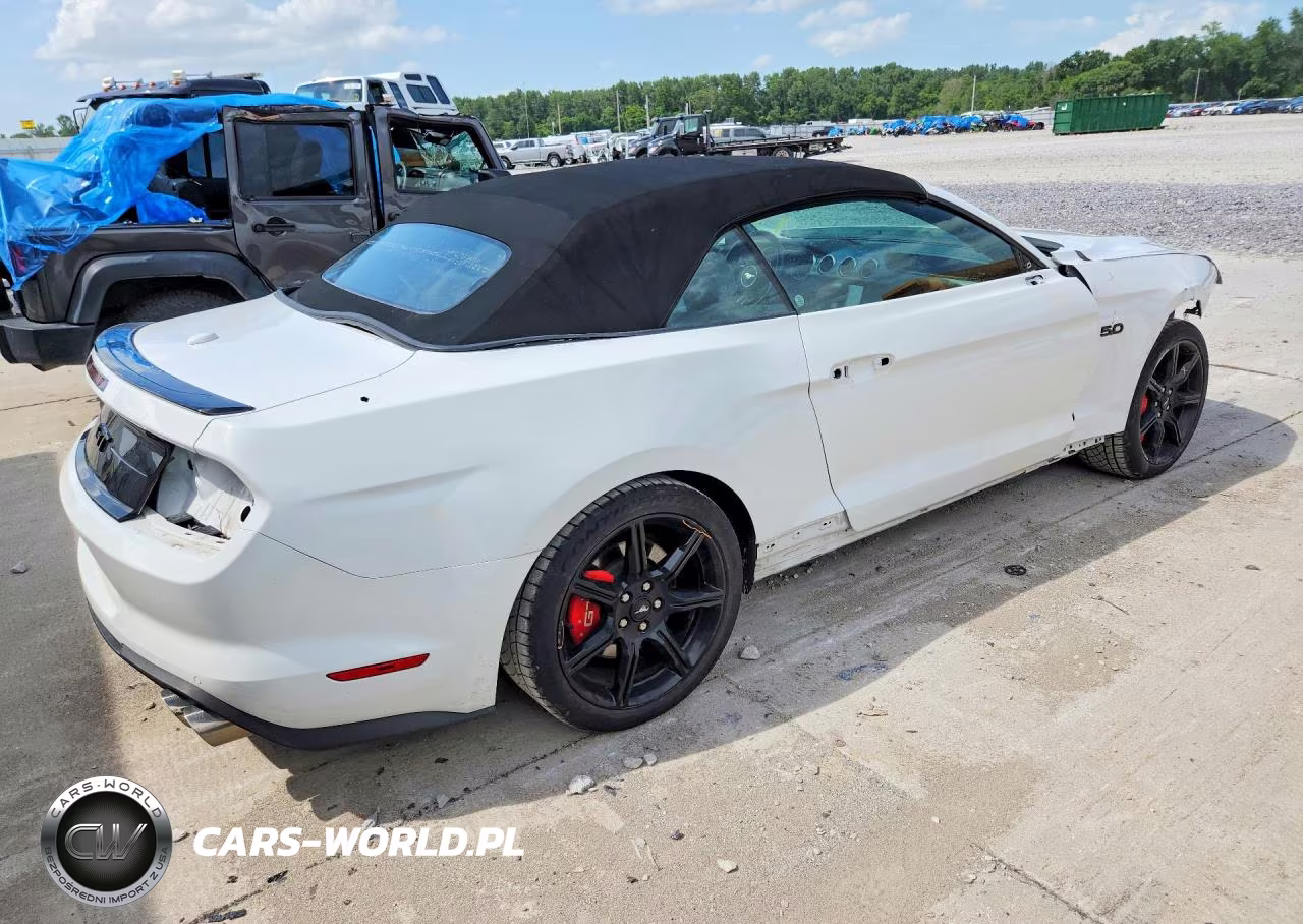 2019 Ford Mustang Gt VIN:1FATP8FF6K5185721 - 3