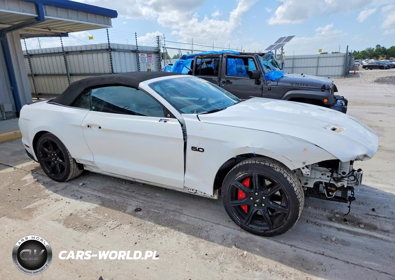 2019 Ford Mustang Gt VIN:1FATP8FF6K5185721 - 4