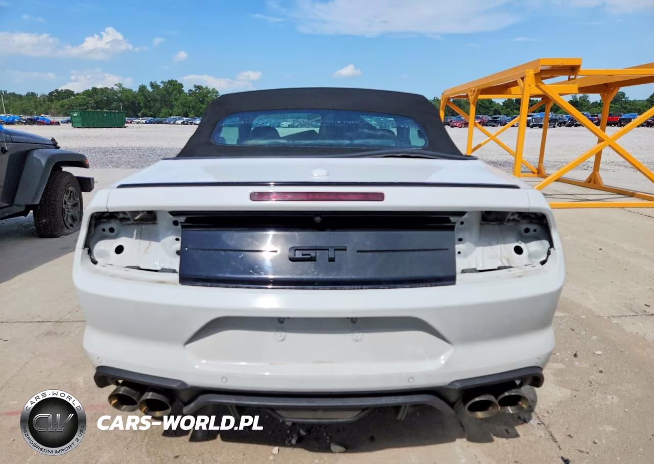 2019 Ford Mustang Gt VIN:1FATP8FF6K5185721 - 6