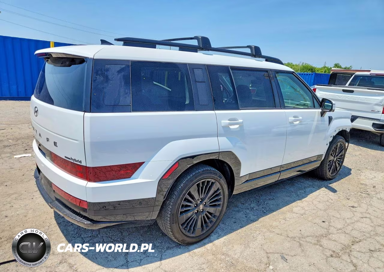2025 Hyundai Santa Fe Calligraphy VIN:5NMP5DG19SH068712 - 3