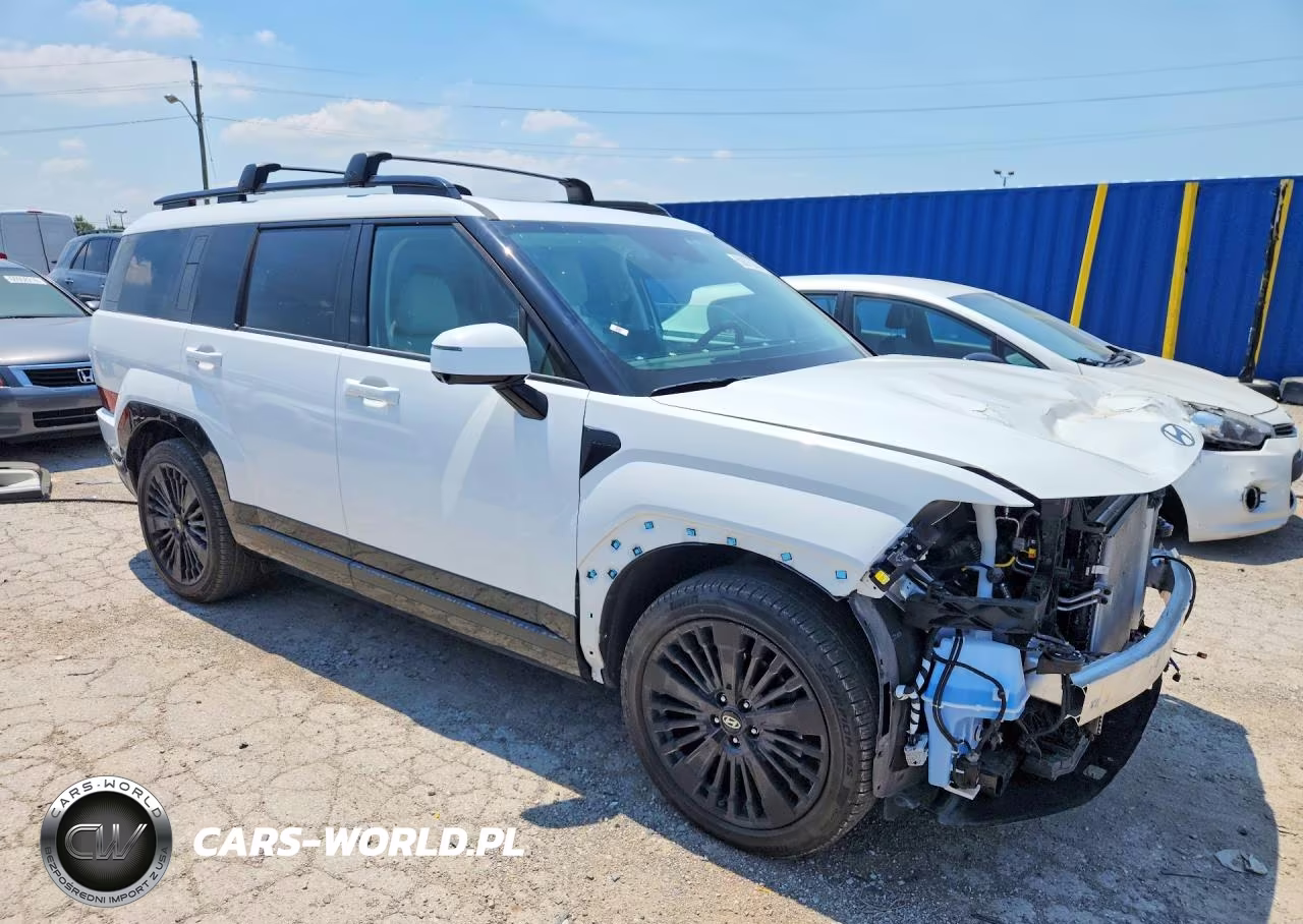 2025 Hyundai Santa Fe Calligraphy VIN:5NMP5DG19SH068712 - 4