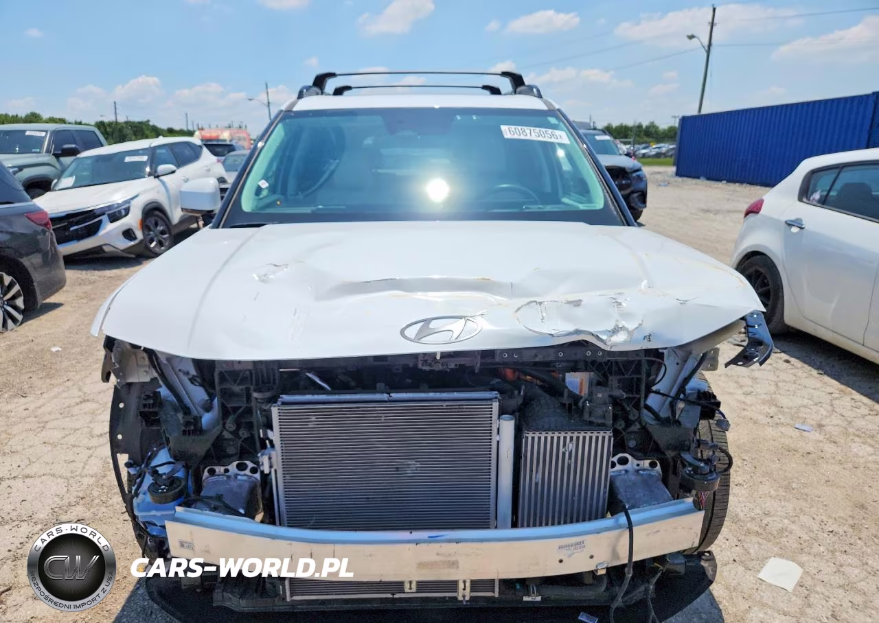 2025 Hyundai Santa Fe Calligraphy VIN:5NMP5DG19SH068712 - 5
