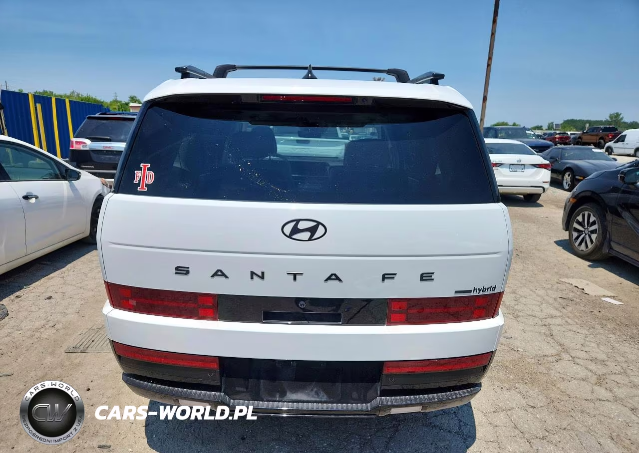 2025 Hyundai Santa Fe Calligraphy VIN:5NMP5DG19SH068712 - 6