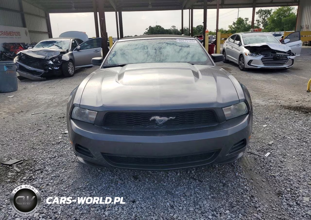 2010 Ford Mustang V6 Premium VIN:1ZVBP8EN5A5119865 - 5