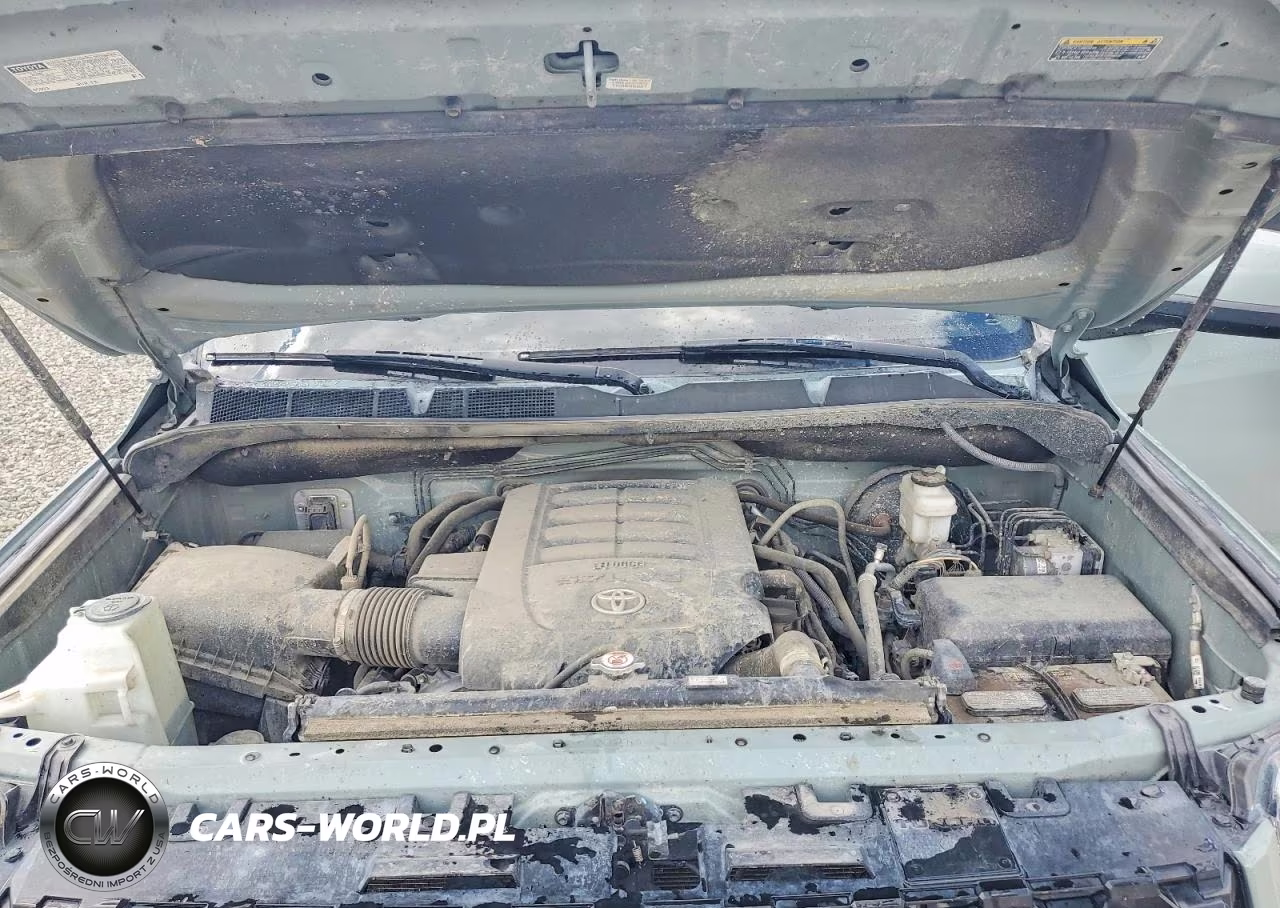 2021 Toyota Tundra Trd Pro VIN:5TFDY5F17MX973722 - 11