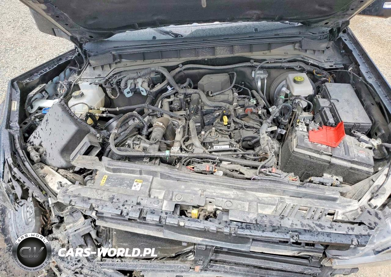 2024 Ford Bronco Outer Banks VIN:1FMDE8BHXRLB09397 - 11