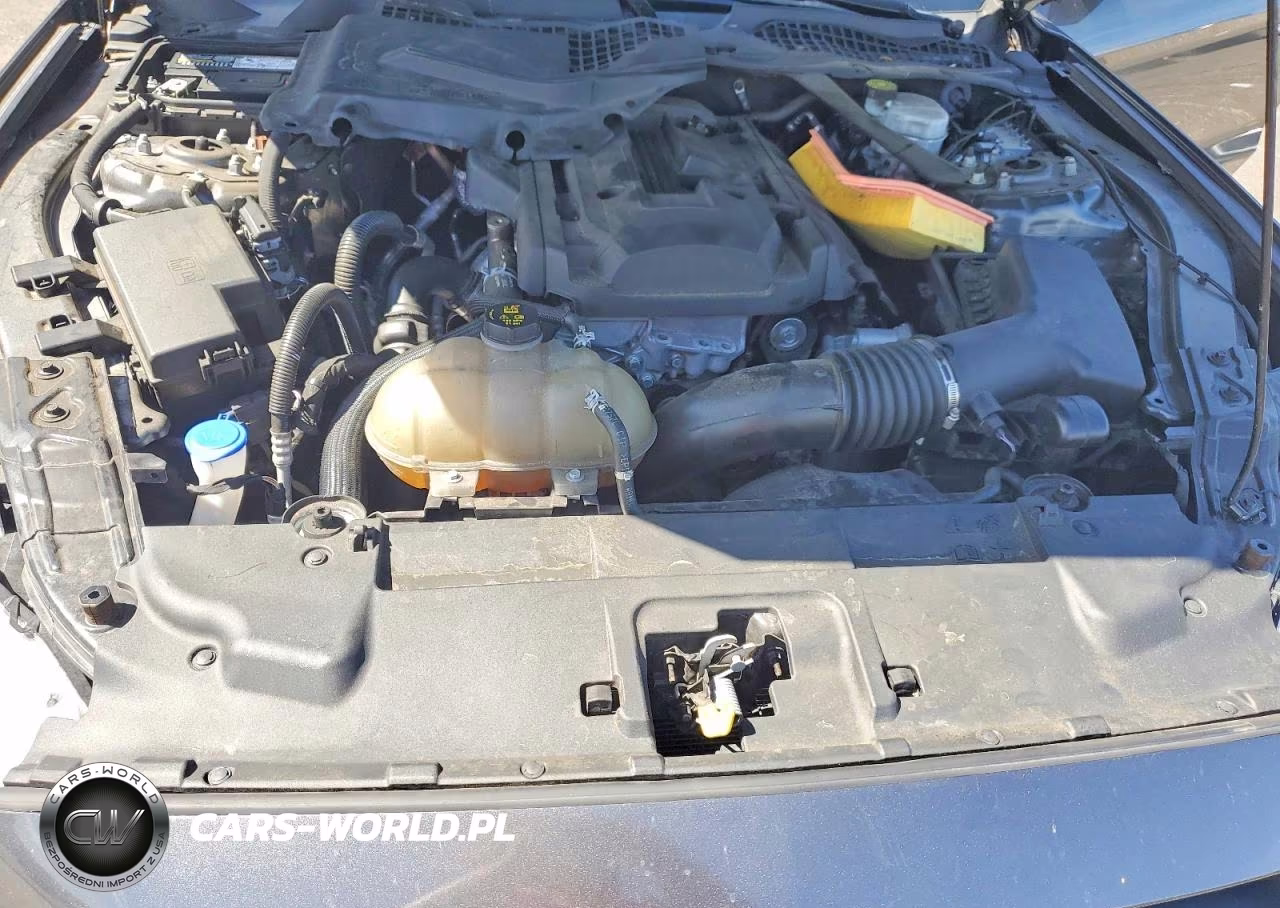 2020 Ford Mustang VIN:1FATP8UH4L5147748 - 11